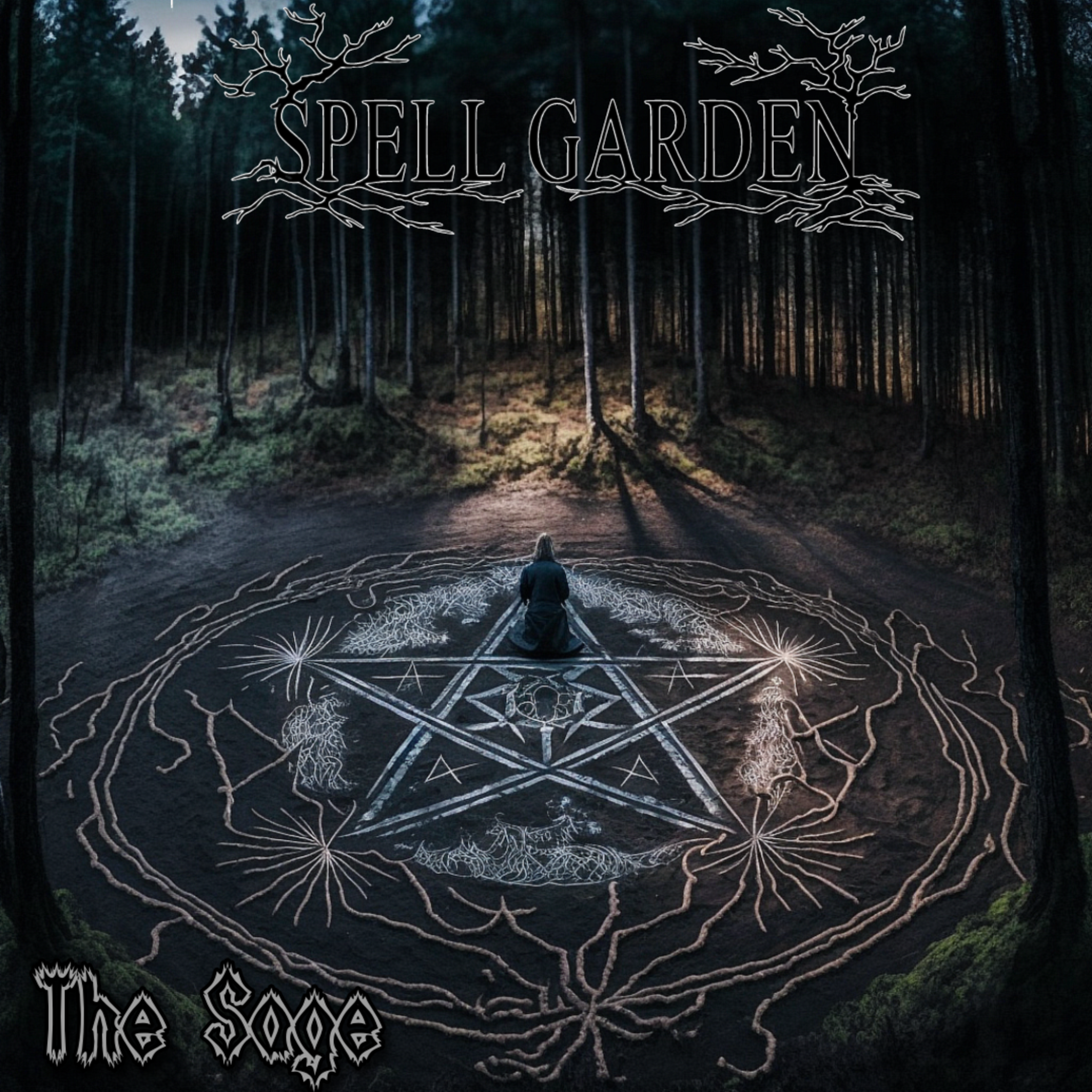 Capa de The Sage